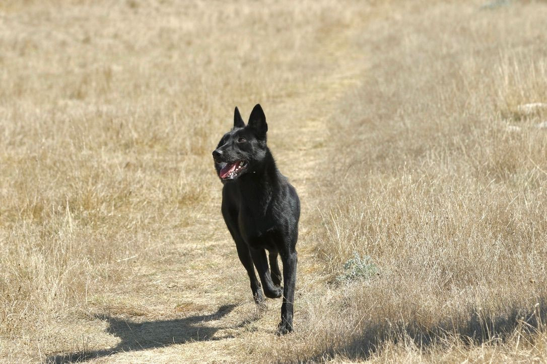 Upney's Dark Side Of London Legends